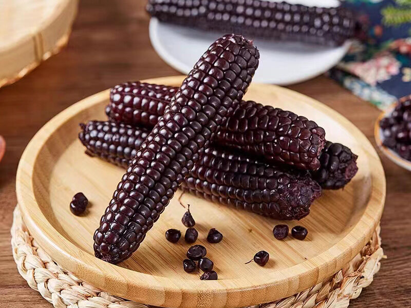Ngô Mochi Tím Kamenozoki