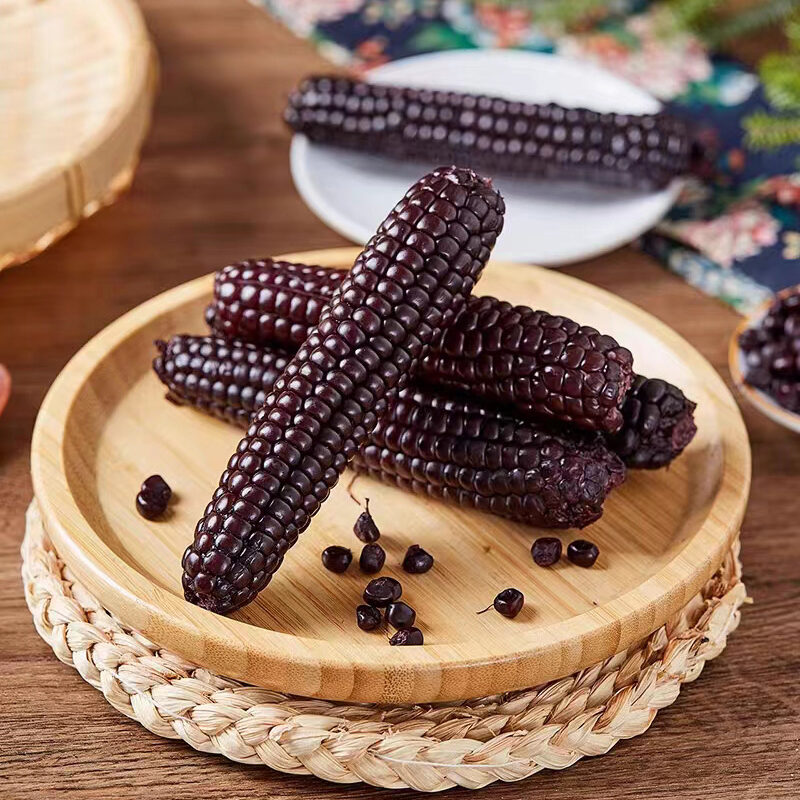 Ngô Mochi Tím Kamenozoki