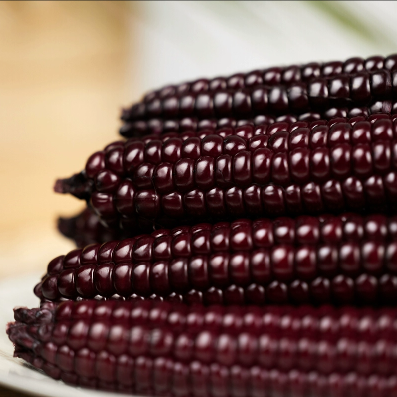 Ngô Nếp Tím Mochi (Purple Mochi Glutinous Corn)