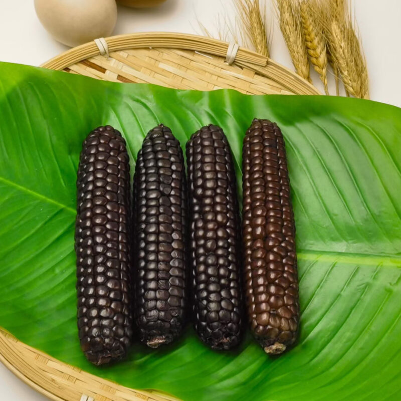 Ngô Mochi Tím Kamenozoki: Từ Nông Trại Đến Bàn Ăn Của Bạn