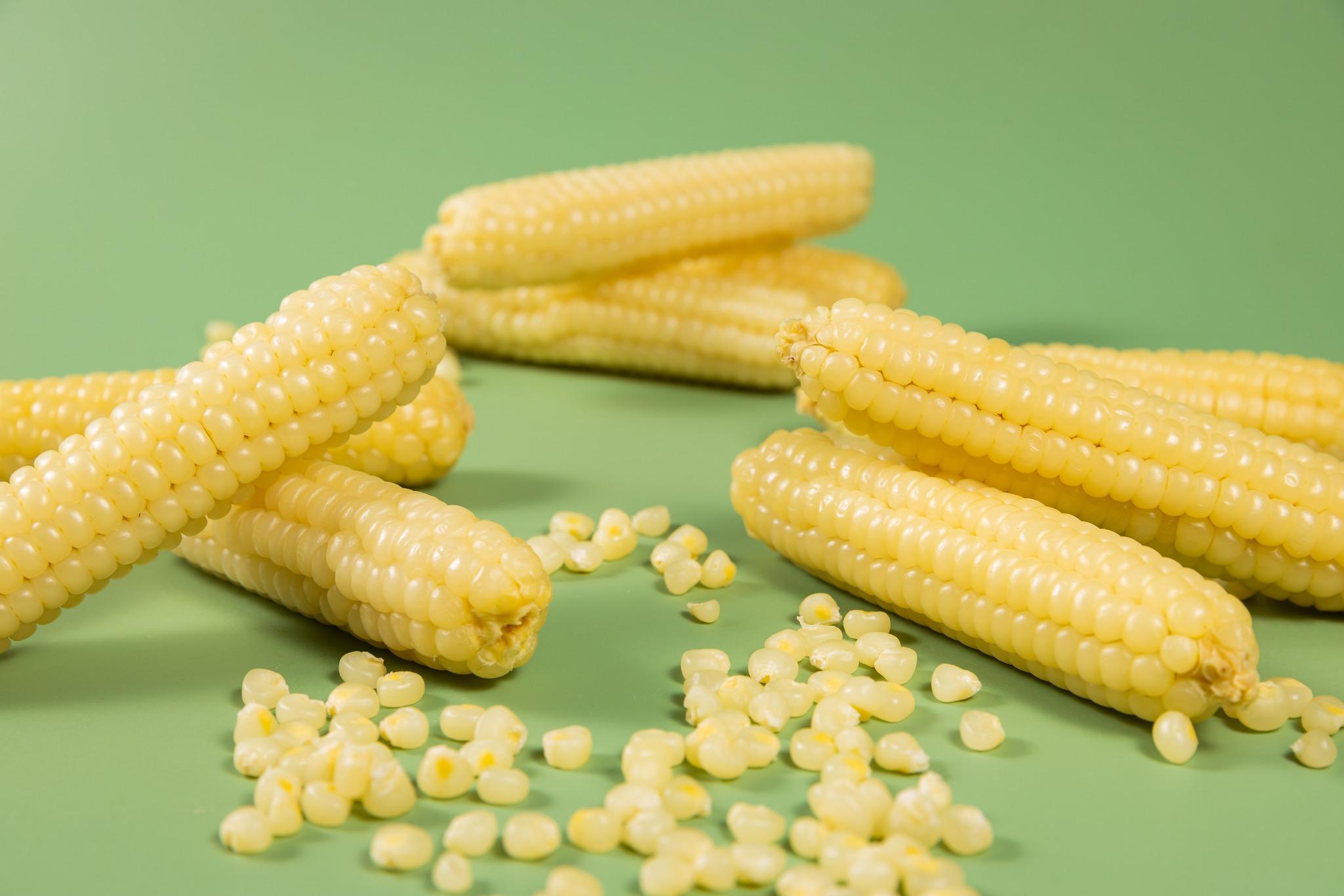 Ngô Nếp Kamenozoki Nhật Bản