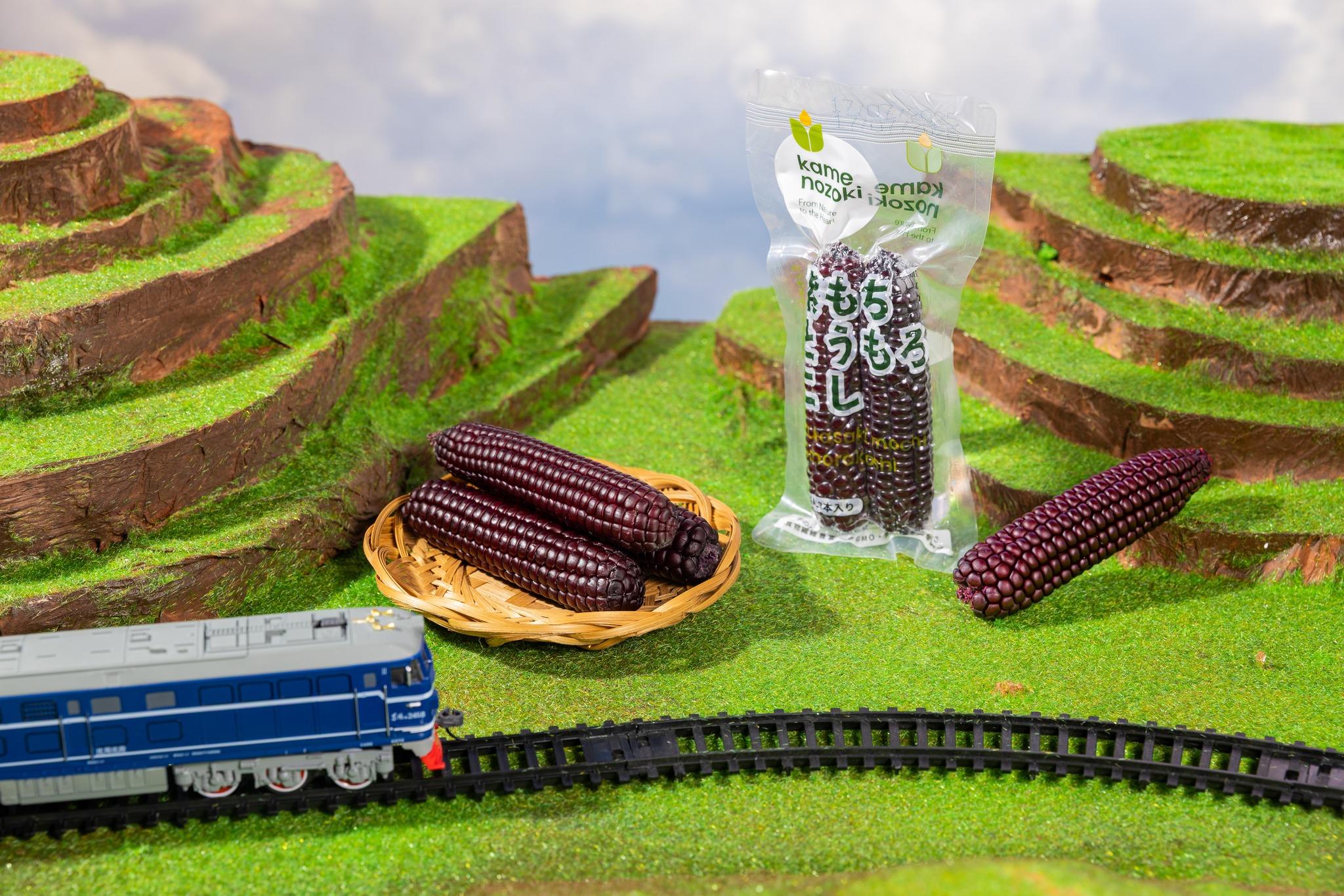 Ngô Nếp Kamenozoki Nhật Bản