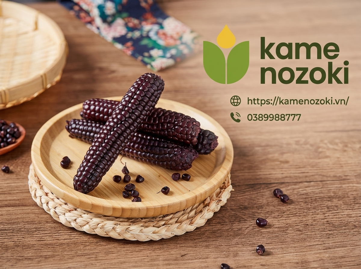 Kamenozoki: Hành trình kiến tạo di sản nông nghiệp và cuộc cách mạng "Sống lành" từ hạt ngô nếp Mochi Nhật Bản (2026)