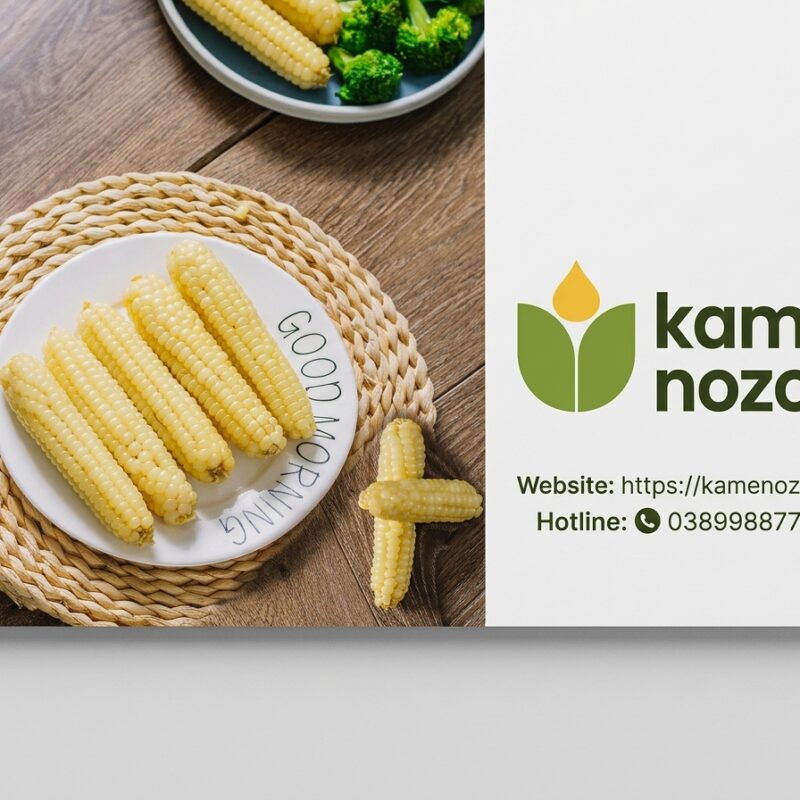 Kamenozoki: Hành trình đánh thức vị dẻo di sản và Bản tuyên ngôn sống lành từ Ngô Mochi Nhật Bản (2026)