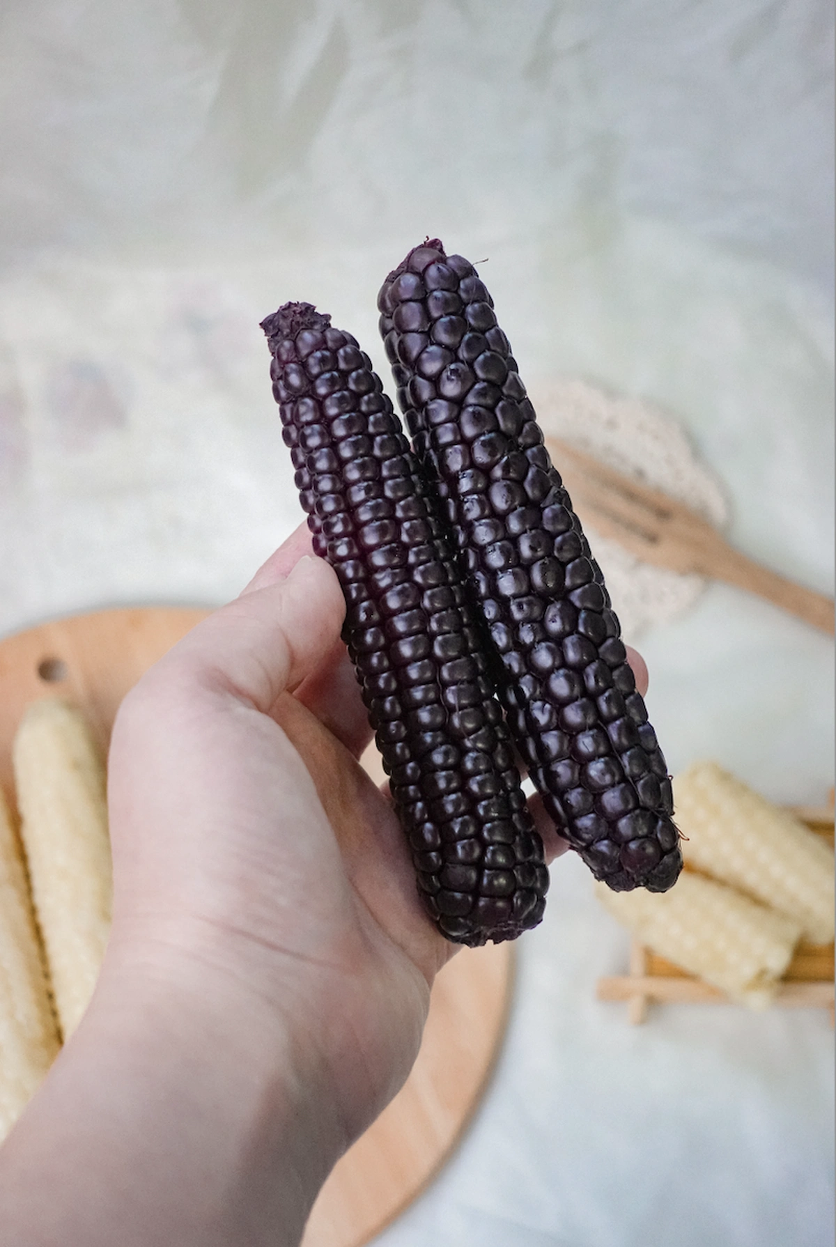 Ngô Nếp Tím