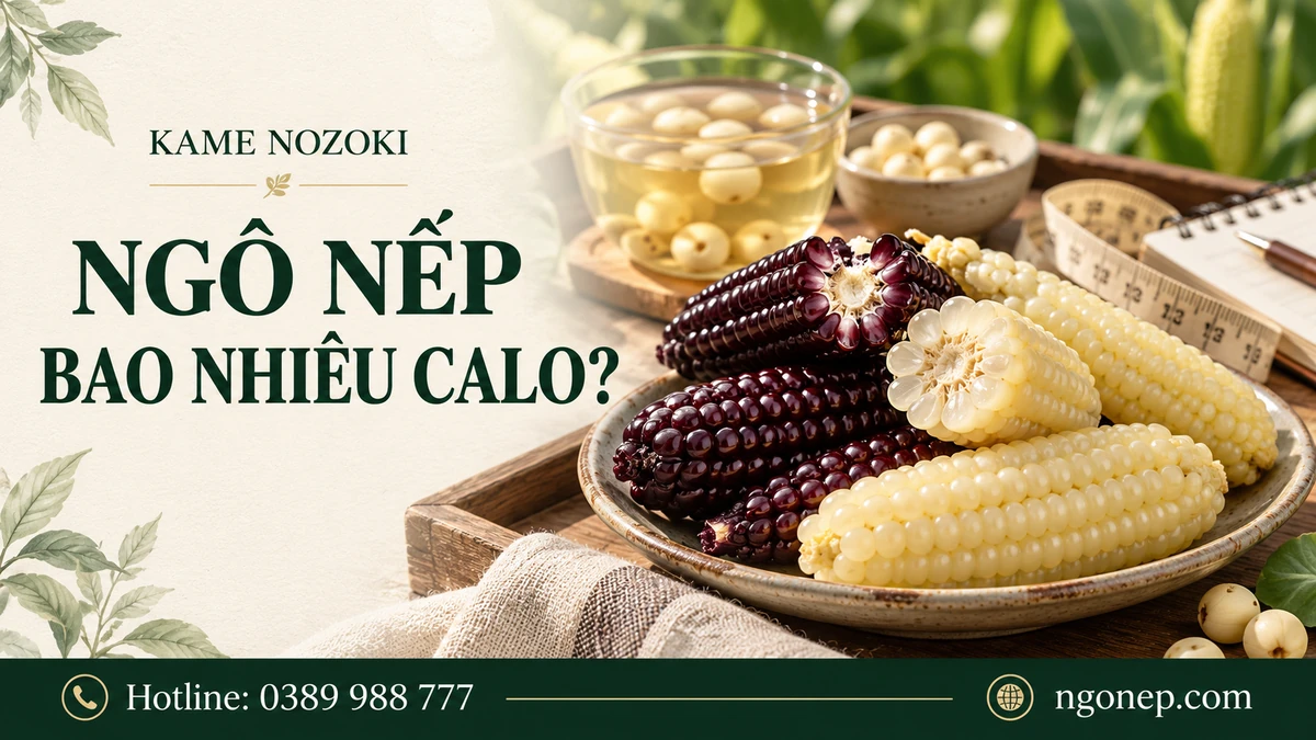 Ngô Nếp Bao Nhiêu Calo? Ăn Ngô Nếp Lúc Nào Tốt Nhất Để Giảm Cân? (2026) - Kamenozoki Mochi Corn