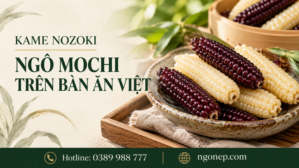 Kamenozoki: Hành trình từ bản sắc Nhật Bản đến