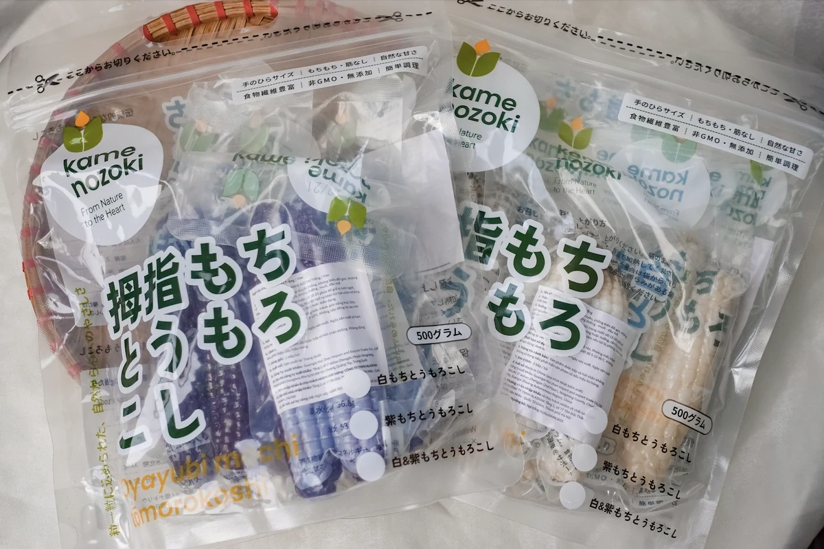 Cận cảnh bắp Ngô Mochi Kame Nozoki thon nhỏ như ngón tay kế thừa đặc tính hạt nhỏ vỏ mỏng của dòng ngô nếp cổ Tứ Lộ Nhu