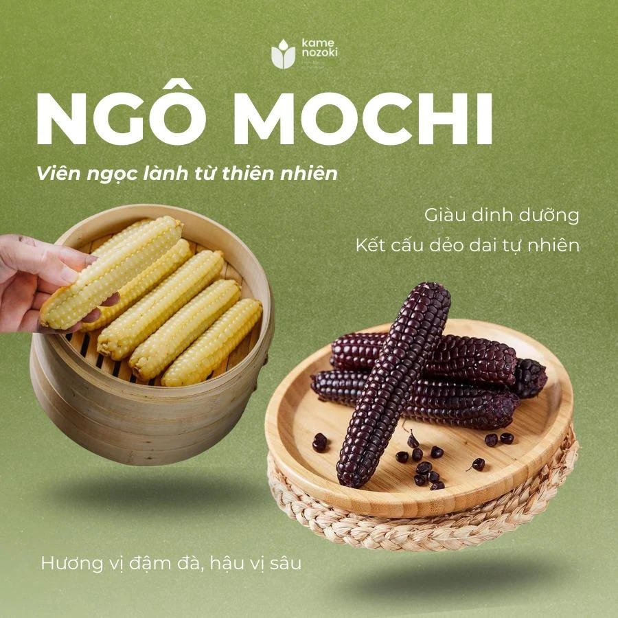 Bộ đôi Ngô Mochi Tím và Ngô Mochi Trắng Kame Nozoki hấp chín giữ trọn độ dẻo rền chuẩn Nhật
